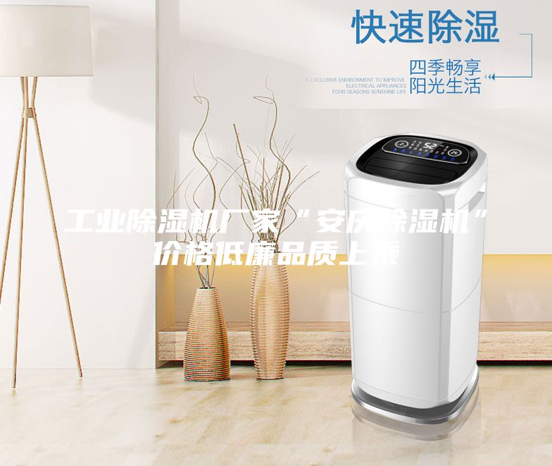 工業(yè)除濕機廠家“安慶除濕機”價格低廉品質上乘