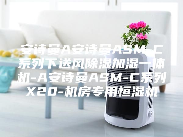 安詩曼A安詩曼ASM-C系列下送風(fēng)除濕加濕一體機(jī)-A安詩曼ASM-C系列X20-機(jī)房專用恒濕機(jī)