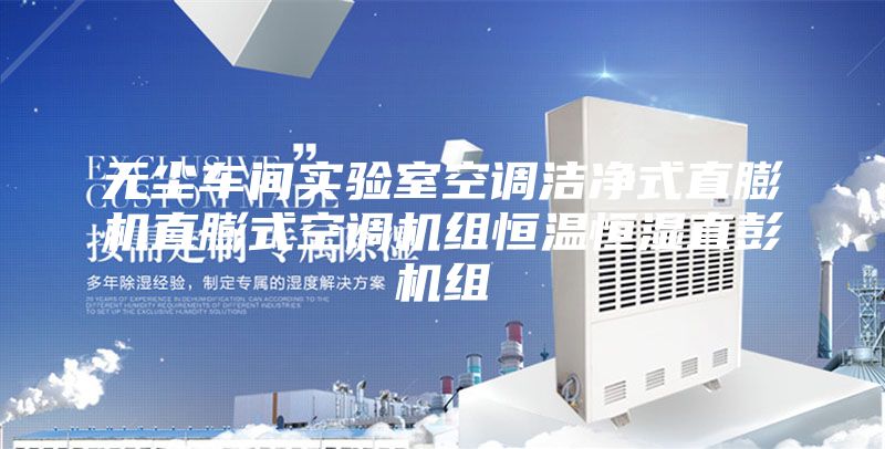 無(wú)塵車間實(shí)驗(yàn)室空調(diào)潔凈式直膨機(jī)直膨式空調(diào)機(jī)組恒溫恒濕直彭機(jī)組