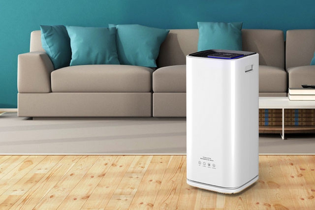 室內怎么防蟲防潮才有效？