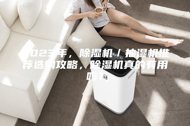 2023年，除濕機／抽濕機推薦選購攻略，除濕機真的有用嗎？