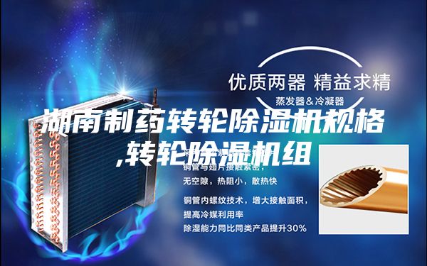 湖南制藥轉(zhuǎn)輪除濕機(jī)規(guī)格,轉(zhuǎn)輪除濕機(jī)組