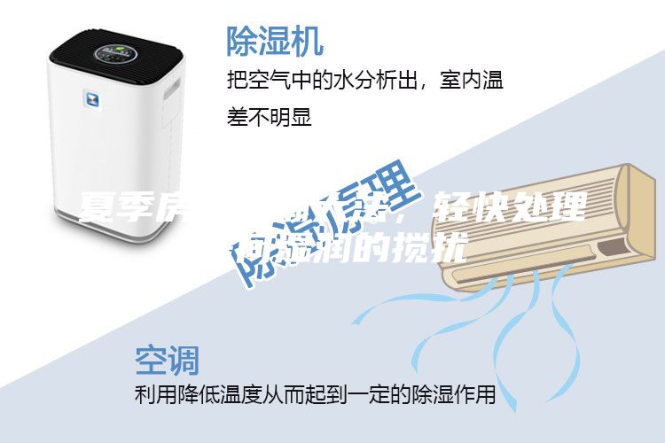 夏季房屋防潮大法，輕快處理房間濕潤的攪擾