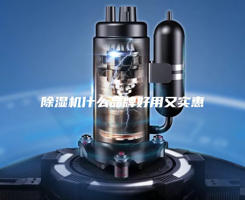 除濕機(jī)什么品牌好用又實惠