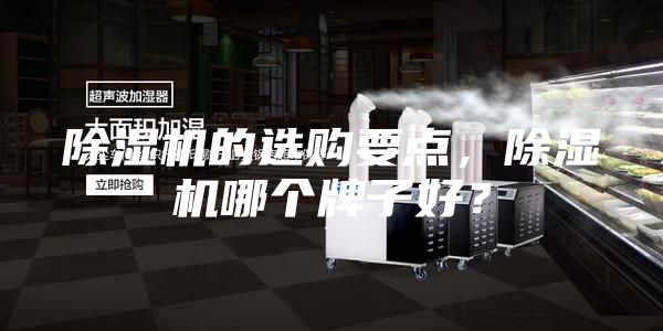 除濕機(jī)的選購(gòu)要點(diǎn)，除濕機(jī)哪個(gè)牌子好？
