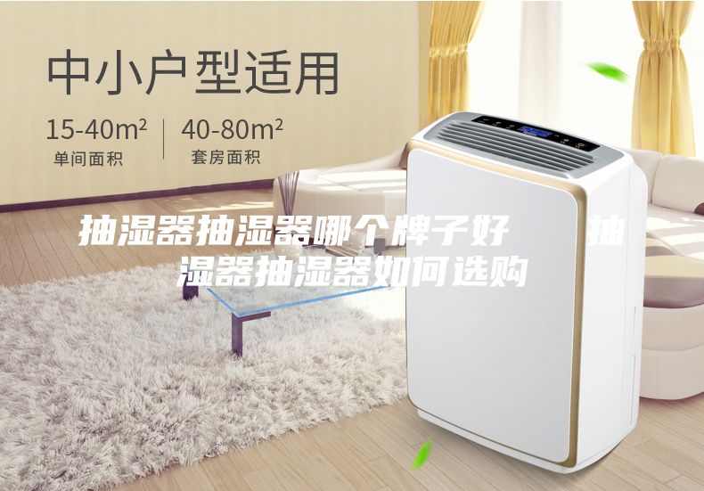 抽濕器抽濕器哪個(gè)牌子好   抽濕器抽濕器如何選購(gòu)