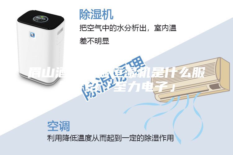 眉山酒窖恒溫恒濕機是什么服務介紹「至力電子」