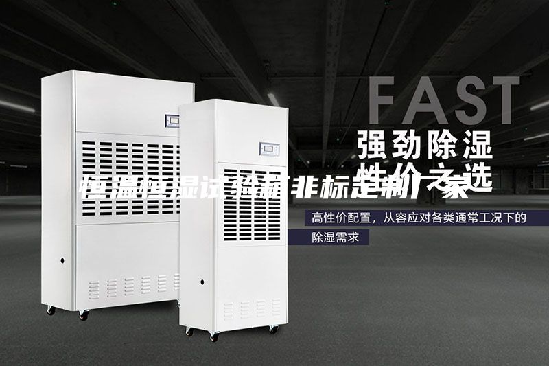 恒溫恒濕試驗(yàn)箱非標(biāo)定制廠家