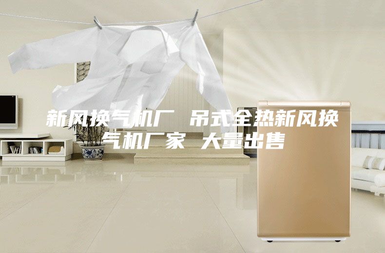 新風(fēng)換氣機廠 吊式全熱新風(fēng)換氣機廠家 大量出售