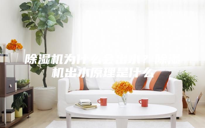 除濕機為什么會出水？除濕機出水原理是什么