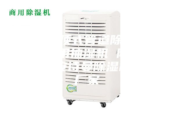 武漢吊頂式管道除濕機(jī),游泳館用抽濕機(jī) 除濕防潮設(shè)備安詩(shī)曼除濕機(jī)生產(chǎn)廠家