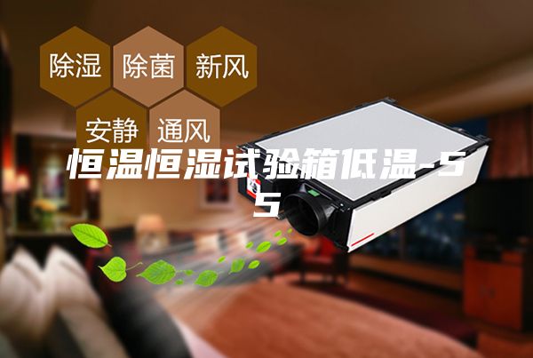 恒溫恒濕試驗箱低溫-55℃