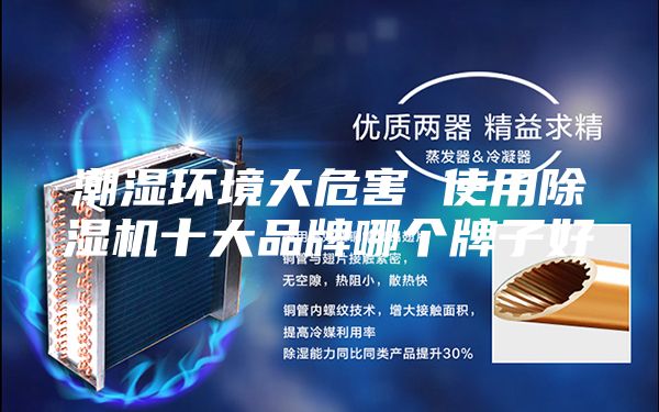 潮濕環(huán)境大危害 使用除濕機十大品牌哪個牌子好