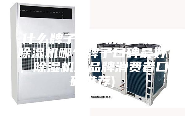 什么牌子除濕機質(zhì)量好(除濕機哪個牌子口碑最好，除濕機的品牌消費者口碑推薦)