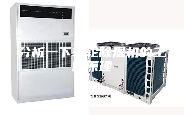 分析一下轉(zhuǎn)輪除濕機(jī)的工作原理