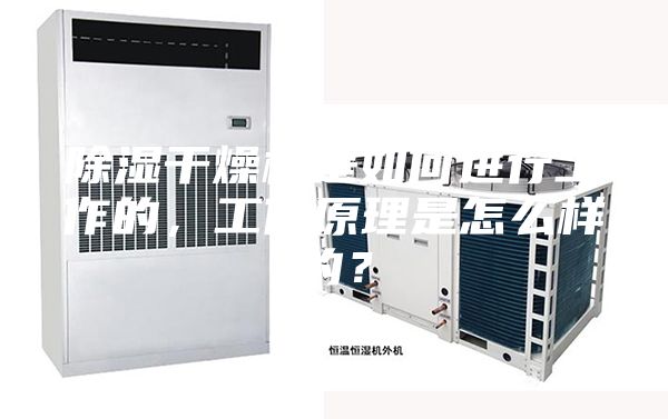 除濕干燥機是如何進行工作的，工作原理是怎么樣的？