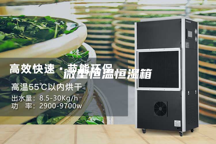 微型恒溫恒濕箱