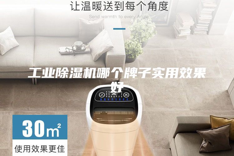 工業(yè)除濕機(jī)哪個(gè)牌子實(shí)用效果好