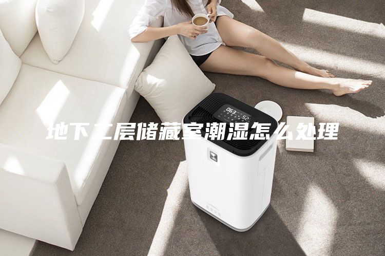 地下二層儲(chǔ)藏室潮濕怎么處理