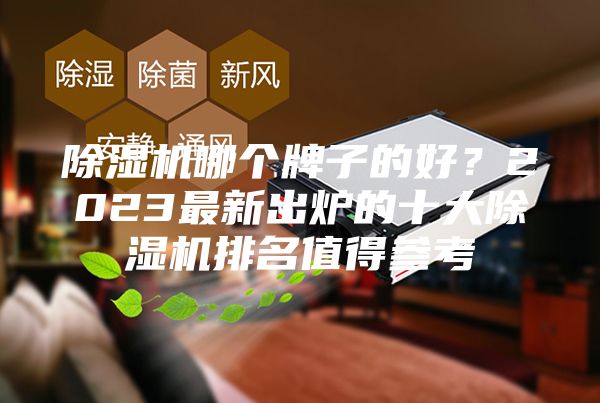 除濕機(jī)哪個(gè)牌子的好？2023最新出爐的十大除濕機(jī)排名值得參考