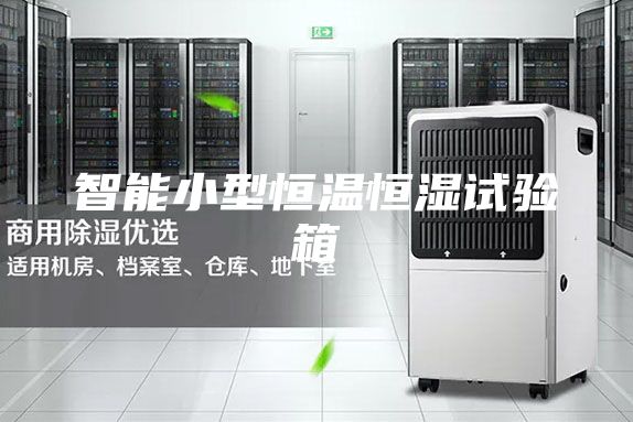 智能小型恒溫恒濕試驗箱
