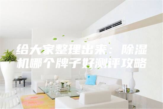 給大家整理出來：除濕機(jī)哪個(gè)牌子好測評攻略