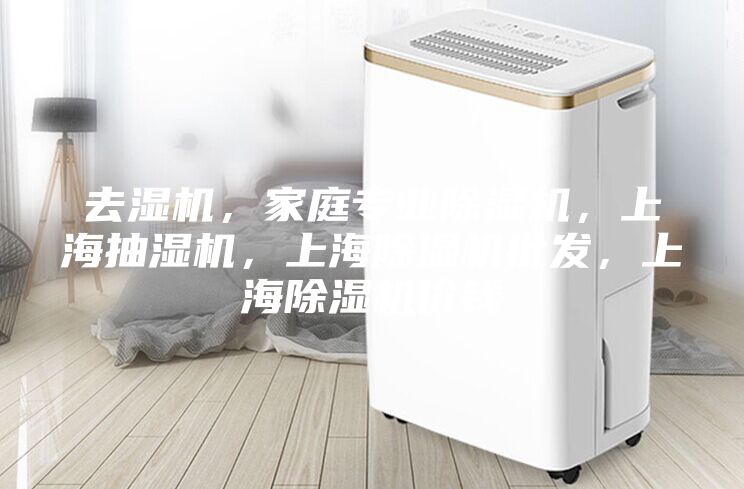 去濕機，家庭專業除濕機，上海抽濕機，上海除濕機批發，上海除濕機價錢