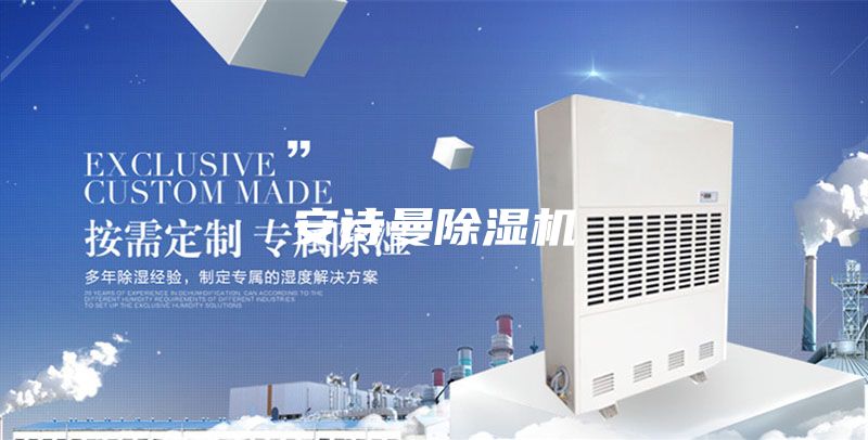 安詩(shī)曼除濕機(jī)