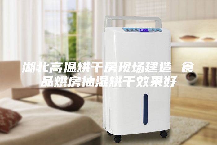 湖北高溫烘干房現(xiàn)場建造 食品烘房抽濕烘干效果好
