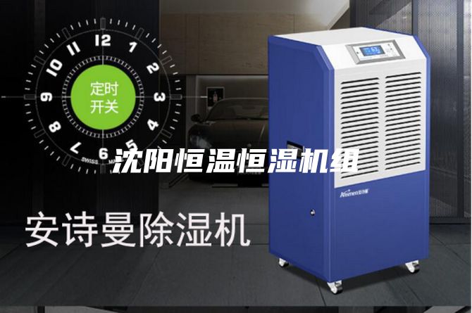 沈陽恒溫恒濕機(jī)組