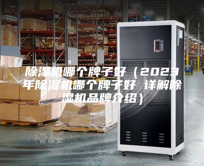 除濕機(jī)哪個牌子好（2023年除濕機(jī)哪個牌子好 詳解除濕機(jī)品牌介紹）
