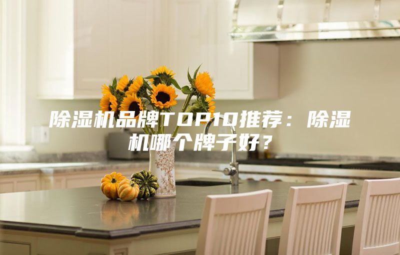 除濕機品牌TOP10推薦：除濕機哪個牌子好？