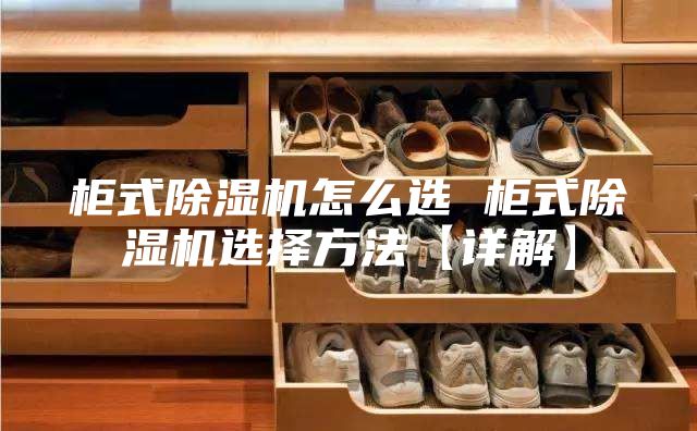 柜式除濕機怎么選 柜式除濕機選擇方法【詳解】