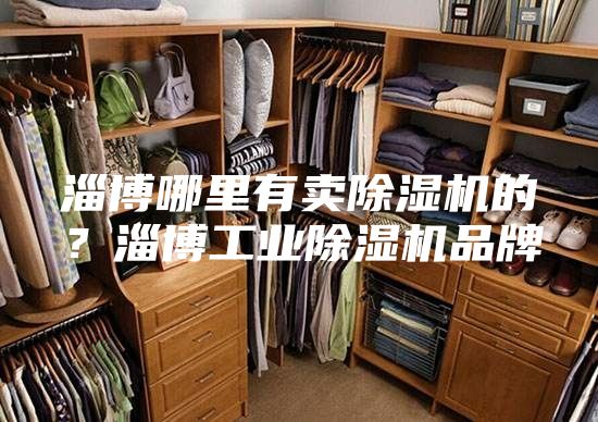 淄博哪里有賣除濕機的？淄博工業(yè)除濕機品牌