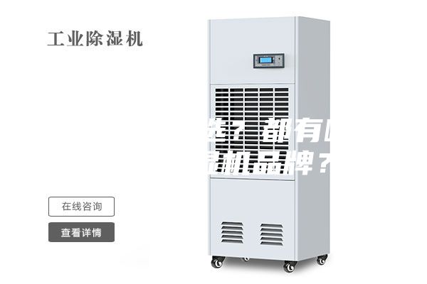 除濕機怎么選？都有哪些好的除濕機品牌？