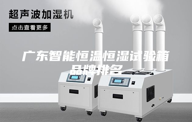 廣東智能恒溫恒濕試驗(yàn)箱品牌排名