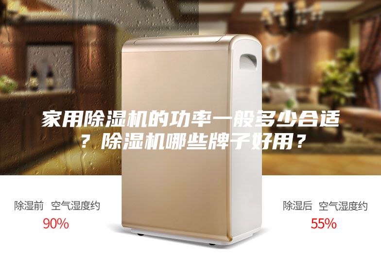 家用除濕機的功率一般多少合適?除濕機哪些牌子好用?