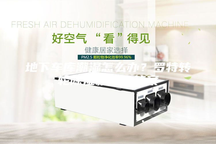 地下車庫潮濕怎么辦?羅特轉輪除濕機給你答案