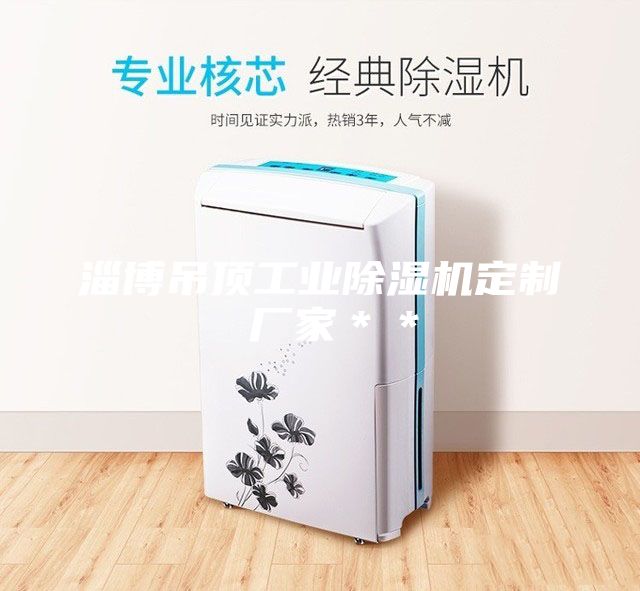 淄博吊頂工業(yè)除濕機(jī)定制 廠家**