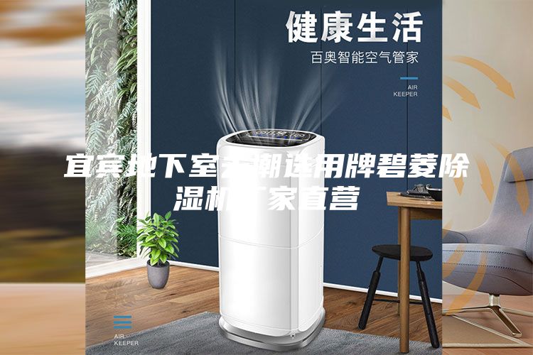 宜賓地下室去潮選用牌碧菱除濕機(jī)廠家直營(yíng)
