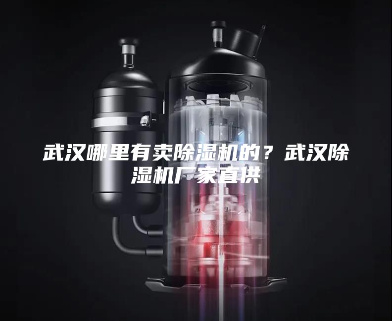 武漢哪里有賣除濕機的？武漢除濕機廠家直供