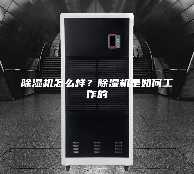 除濕機怎么樣?除濕機是如何工作的