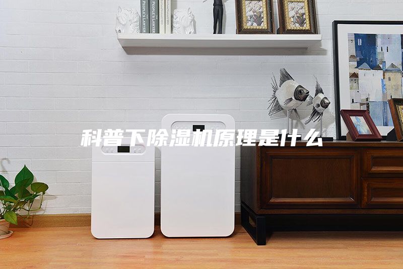 科普下除濕機(jī)原理是什么