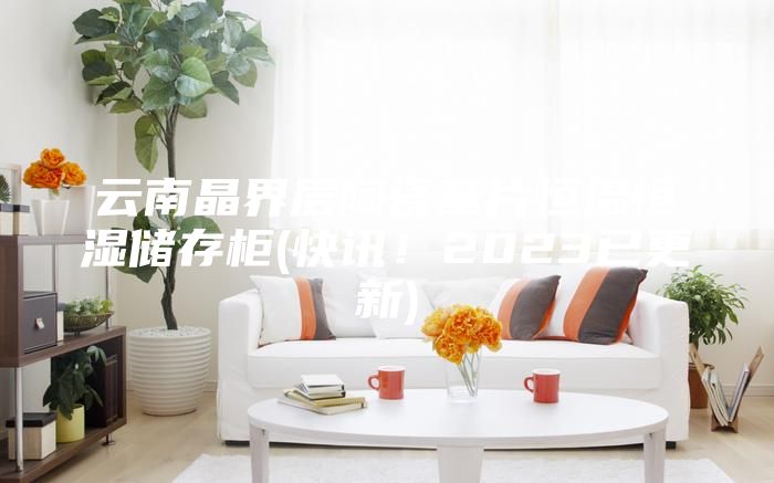 云南晶界層陶瓷基片恒溫恒濕儲存柜(快訊！2023已更新)