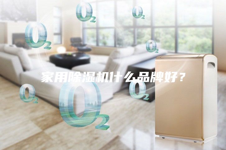 家用除濕機(jī)什么品牌好？
