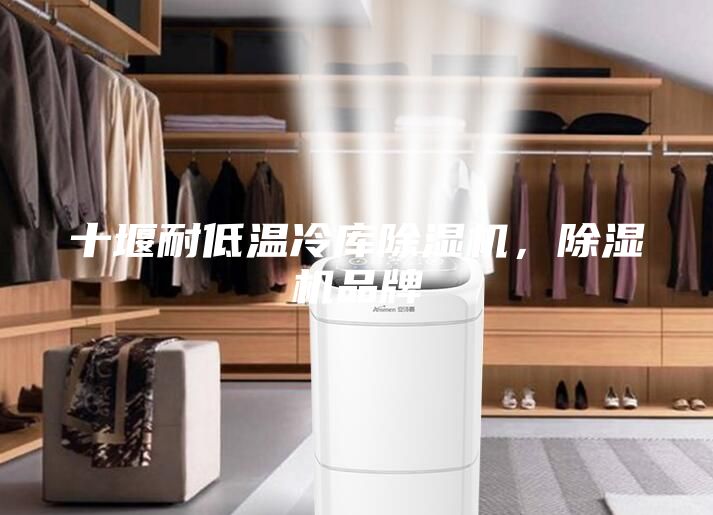 十堰耐低溫冷庫(kù)除濕機(jī),除濕機(jī)品牌