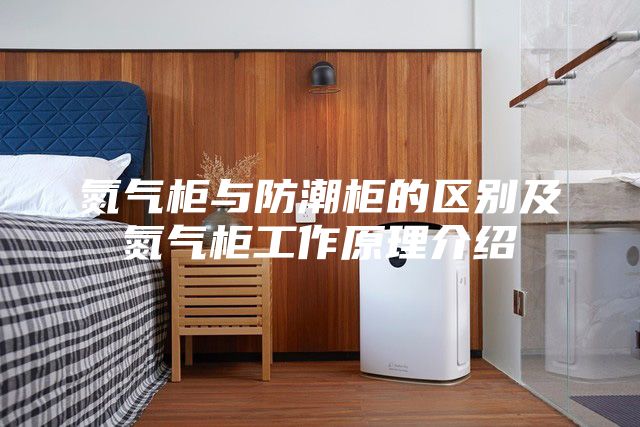 氮?dú)夤衽c防潮柜的區(qū)別及氮?dú)夤窆ぷ髟斫榻B