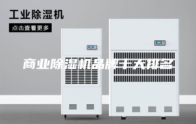 商業(yè)除濕機品牌十大排名