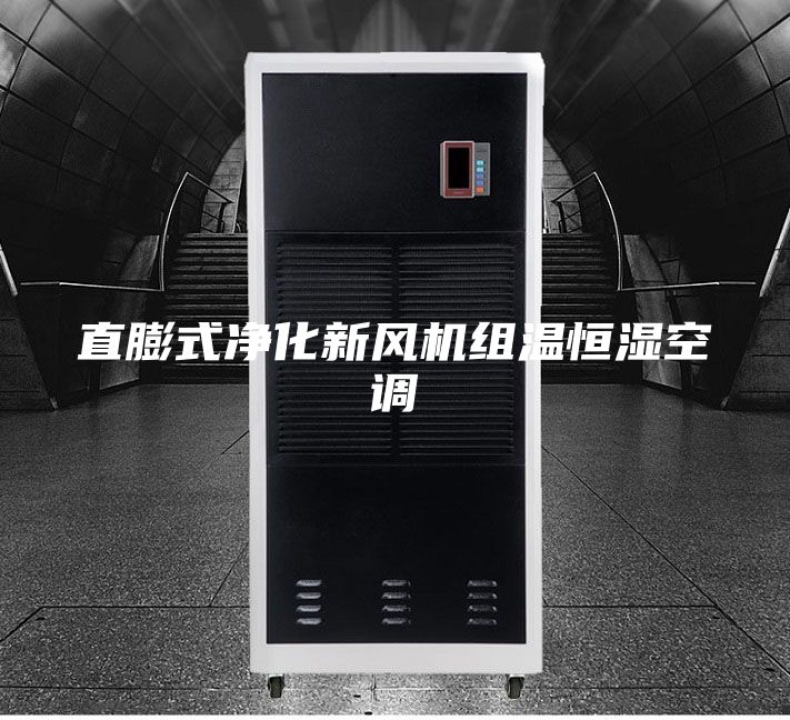直膨式凈化新風機組溫恒濕空調
