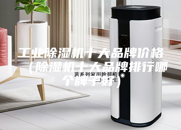 工業(yè)除濕機(jī)十大品牌價格(除濕機(jī)十大品牌排行哪個牌子好)